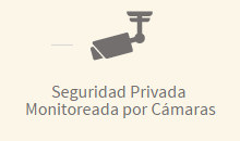 Seguridad Privada monitoreada por c&aacute;maras